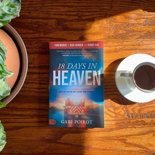 18 Days in Heaven by Gabe Poirot