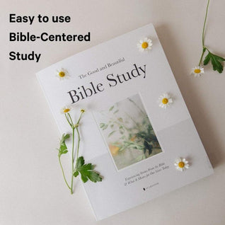 The Good and Beautiful Bible Study Volume 1